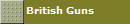 British Guns